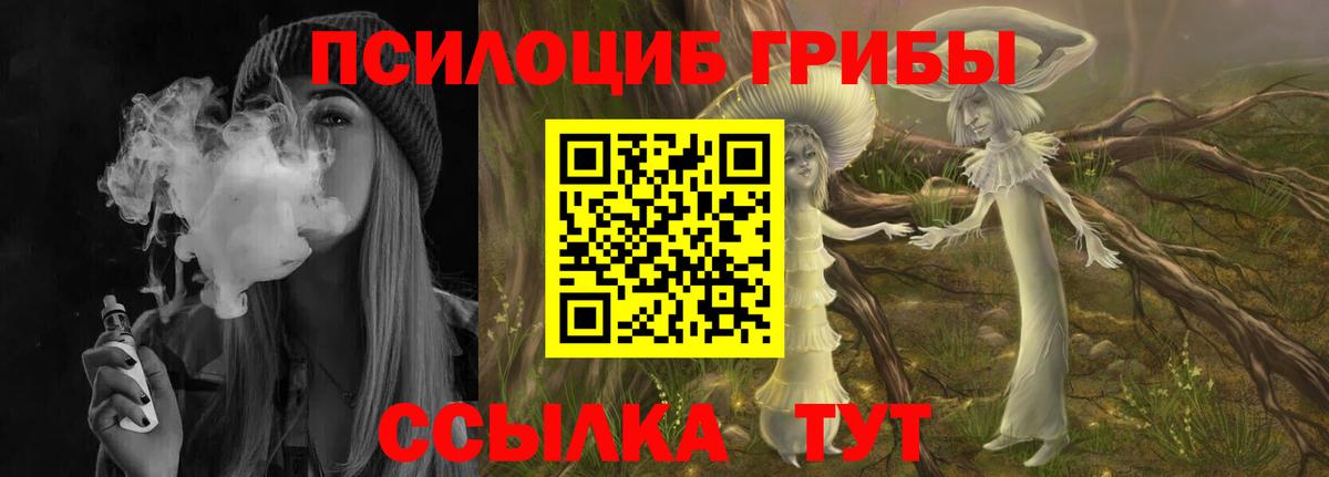 Псилоцибиновые грибы Cubensis  Псилоцибиновые грибы ЛСД  Заинск  Вход с VPN 